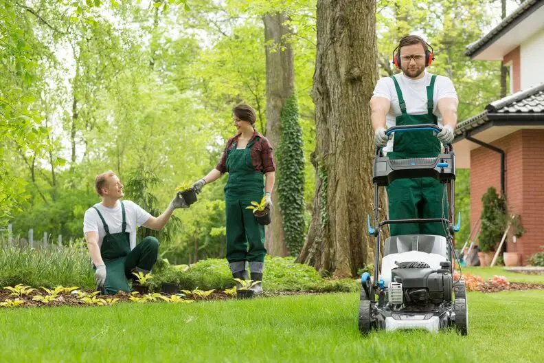 Can You Mow Wet Grass in Centennial, CO