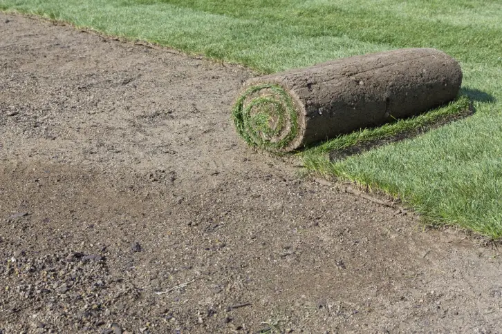 How Long After Installing Sod Can You Walk On It in Centennial, CO