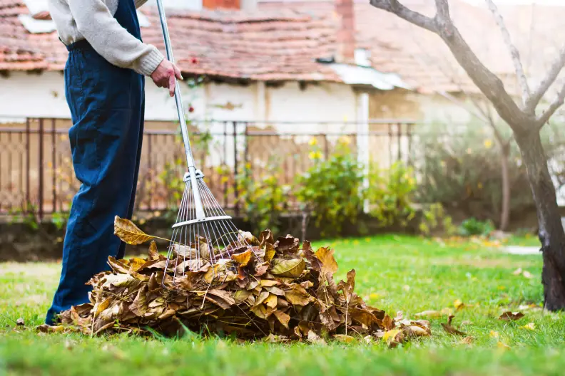 How To Clean A Backyard in Centennial, CO