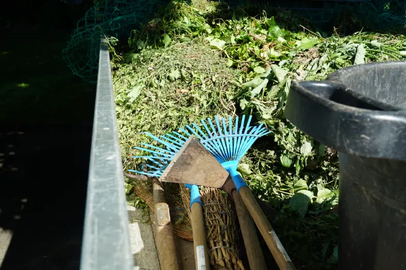 How to Clear a Yard Full of Weeds Centennial, CO