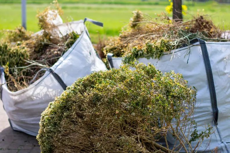 How to Clear a Yard Full of Weeds in Centennial, CO