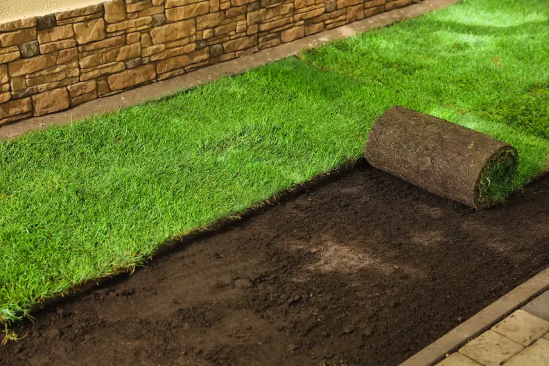 How to Lay Sod Over Existing Lawn in Centennial, CO