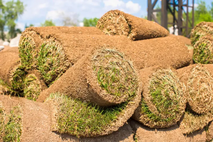 Sod Installation in Centennial, CO - Landscaper