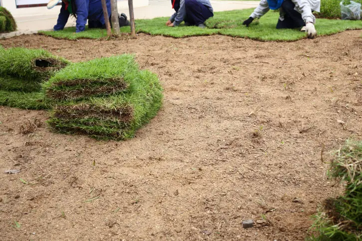 Sod Installation in Centennial, CO