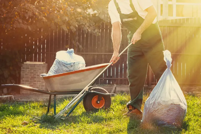 Yard Cleanup Centennial, CO