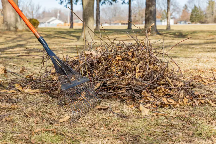 Yard Cleanup in Centennial, CO - Landscaper